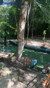 Sítio na Rota Turística - Image 3