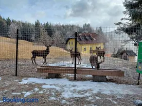 Bauernchalet Orainza - Image 2