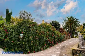 El Palmeral - Image 2