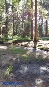 Pension am Tharandter Wald - Image 1
