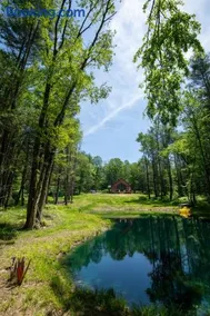 Luxe Modern Cabin with Pond, Fire Pit, Hiking, near Bethel Woods - Image 3