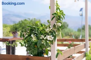 Casa di Colona - Κόκκινο - Image 3