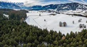 Haslinghof - Image 4