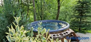 Mystically Wood House in The Forest - Image 2