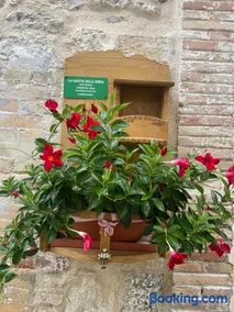 La casetta della nonna - Image 2