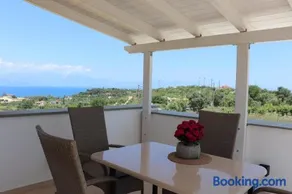 ASSINI View - Image 2