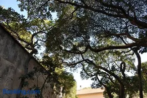 Villa Salvini - Image 5