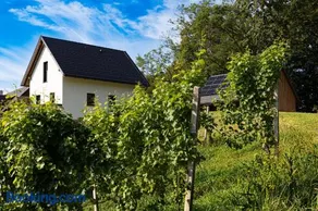 Kellerstöckel Steinbach - Image 2