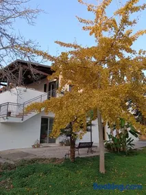LA CASA DEL NOCE - Image 2