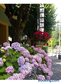 Hotel Delle Ortensie - Image 1