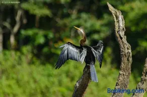 KTDC Periyar House - Image 2