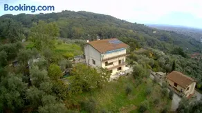 PETTOCANNELLA - Image 1