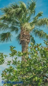 Pine House - Faro Airport, Beach and City Center - Image 4