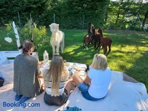 Sweet Home Alpacas - Image 1
