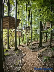 Baumhaushotel Robins Nest - Image 3