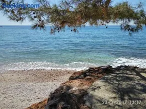 Family house by the beach - Image 3