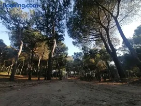Agricampeggio La Pineta - Image 2
