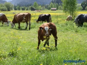 Hauserhof - Image 4