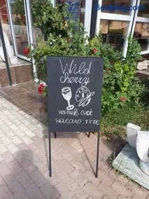 Wild Cherry Apartments - Image 2