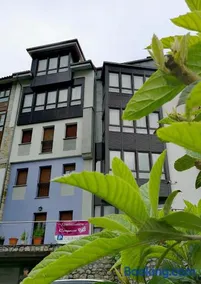 Apartamentos Camparina - Image 2