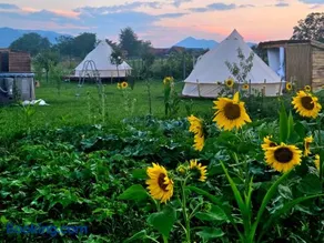 Kama Retreat - Image 2