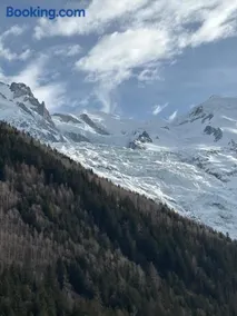Chamois blanc / Chamonix - Image 3