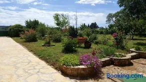 Village House Fafarinka - close to Krka National Park - Image 4