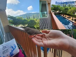 Bann Khao Yai Corner 50sqm - King Bed - Fiber Optic Internet - Image 4