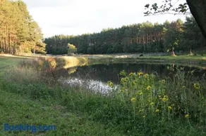 Quatro Osrodek Jezdziecki - Gospodarstwo Agroturystyczne - Image 3