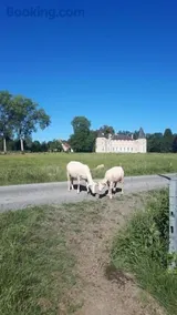 Gîte à la ferme, avec animaux, fromages et nature - Image 1