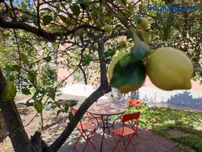 Apartment with private Garden - Image 1