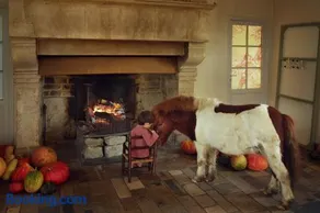 Chambre des moutons - Image 4