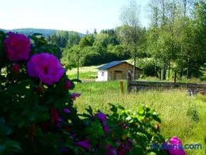 Horse Meadow Cottage - Image 1