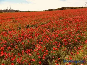 Gites Velaux Ecureuil et Pinède - Image 5