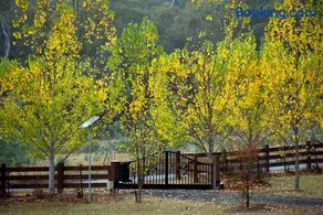 Appalachian High Country Retreat - Image 2