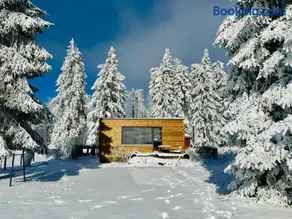Tiny Chalet Stuga Am Rennsteig mit Kamin und Garten, Hunde Willkommen - Image 1