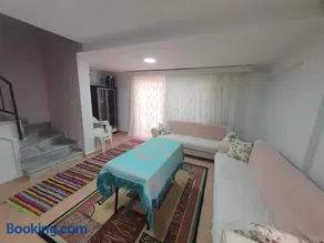 Sarosun incisi eriklide müstakil yazlık - Image 2