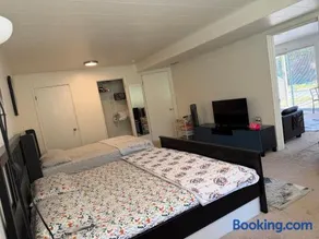 Music suite of single house first floor - Image 2