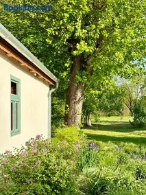 PusztaFarm - Boutique Retreat with Wellness 6 to 8 Guests - Image 5