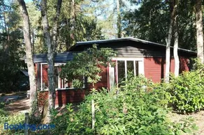 Bosbungalow de Eekhoorn - Image 4