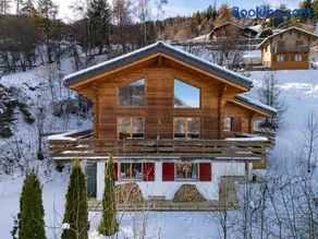 Maison de vacances conviviale et familiale avec barbecue et jardin | Près des pistes de ski - Image 1