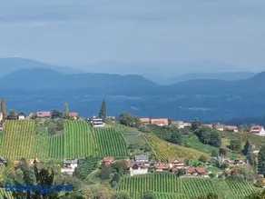 steiRerBLiCke - Weinstöckl Hochgrail - Image 4