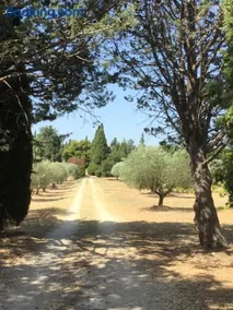 Lourmarin,Domaine de Casteuse Appartement LES OLIVIERS - Image 1