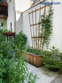 Zentrale 1-Zimmer-Wohnung in der Altstadt - Image 2