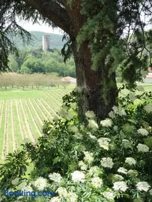 Castel Rouge - Image 2