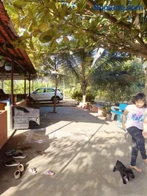 Lilly Areca Farm - Image 3