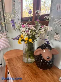 Orchard Shepherds Hut - Image 2
