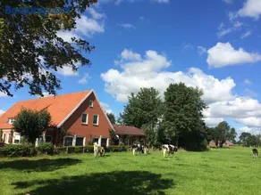 Ostfriesland Ferien Villa - 24 Personen - Sauna, Whirlpool , Kino, und Bar - Image 1