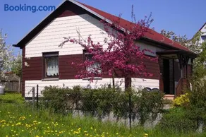 Waldblick - Image 1