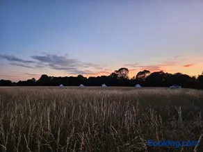 Readers Field Glamping - Image 5